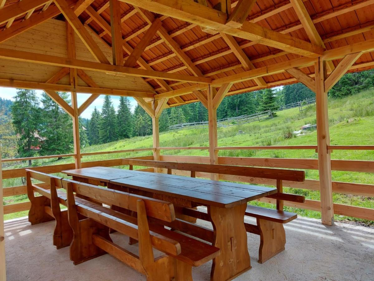 Casa Bogdan Βίλα Vartop Εξωτερικό φωτογραφία