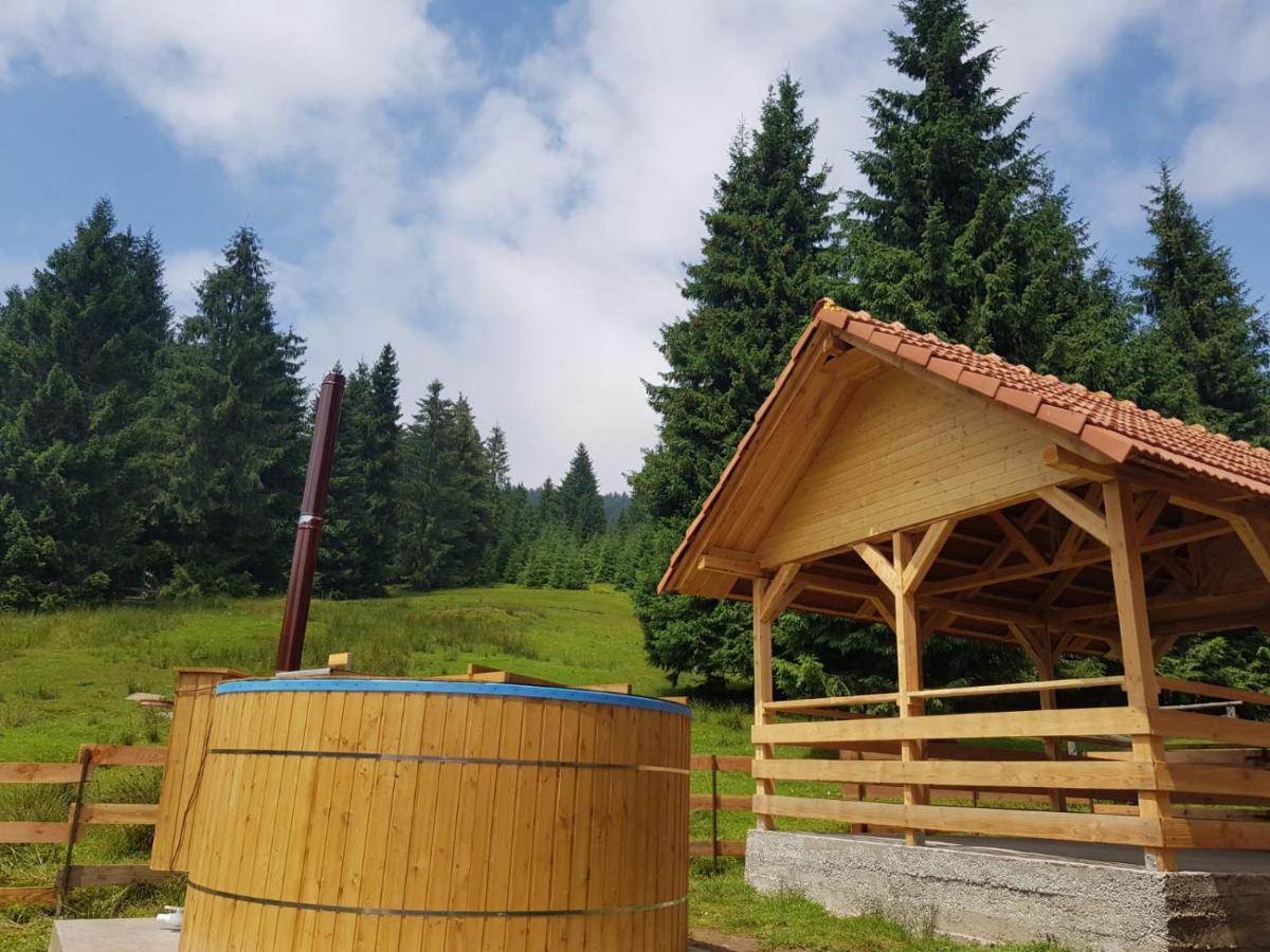 Casa Bogdan Βίλα Vartop Εξωτερικό φωτογραφία